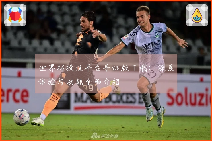 世界杯投注平台手机版下载：深度体验与功能全面介绍
