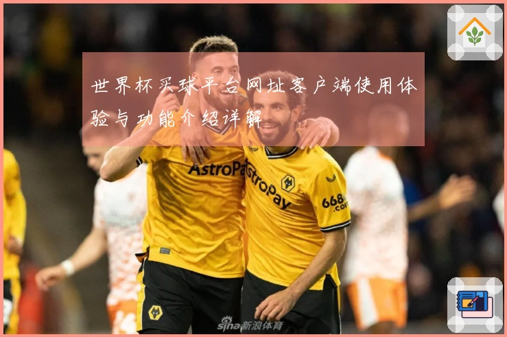 世界杯买球平台网址客户端使用体验与功能介绍详解