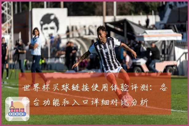 世界杯买球链接使用体验评测：各平台功能和入口详细对比分析