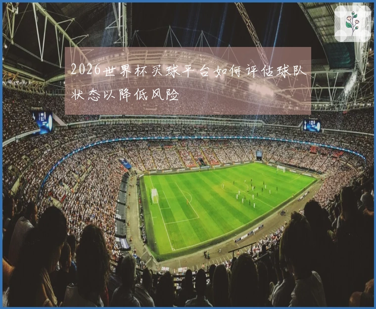 2026世界杯买球平台如何评估球队状态以降低风险