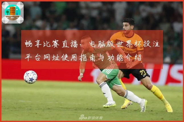畅享比赛直播，电脑版世界杯投注平台网址使用指南与功能介绍