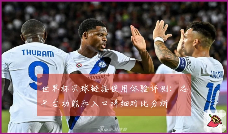 世界杯买球链接使用体验评测：各平台功能和入口详细对比分析