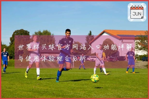 世界杯买球官方网站入口功能详解与使用体验综合分析
