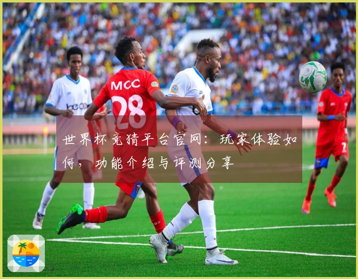 世界杯竞猜平台官网：玩家体验如何，功能介绍与评测分享