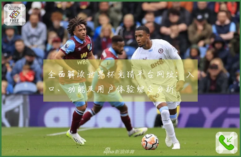 全面解读世界杯竞猜平台网址：入口、功能及用户体验综合分析