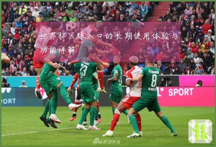 世界杯买球入口的长期使用体验与功能详解