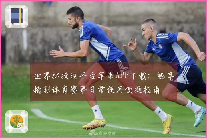 世界杯投注平台苹果APP下载：畅享精彩体育赛事日常使用便捷指南