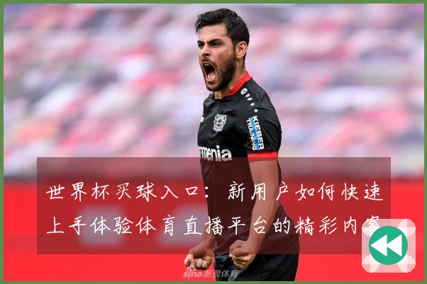 世界杯买球入口:新用户如何快速上手体验体育直播平台的精彩内容