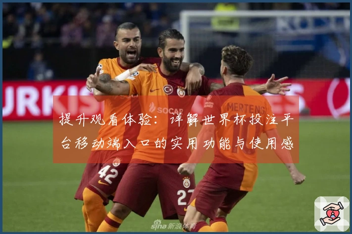 提升观看体验：详解世界杯投注平台移动端入口的实用功能与使用感受