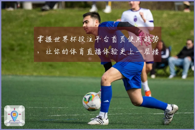 掌握世界杯投注平台首页使用趋势，让你的体育直播体验更上一层楼