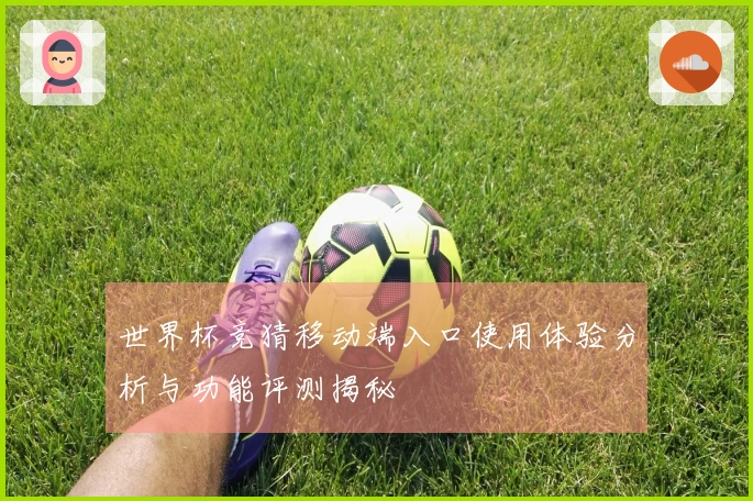 世界杯竞猜移动端入口使用体验分析与功能评测揭秘
